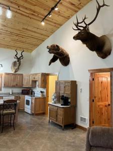 a kitchen with deer heads hanging on the wall at Hunter's Haven in Oak Harbor +6 photos
