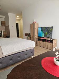 TV a/nebo společenská místnost v ubytování Miss Lux