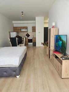 TV a/nebo společenská místnost v ubytování Miss Lux