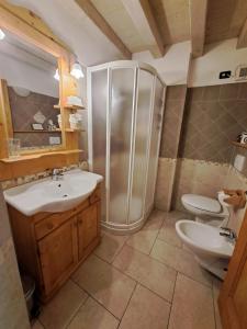 a bathroom with a shower and a sink and a toilet at B&B Villa Ca'Praja in Daone