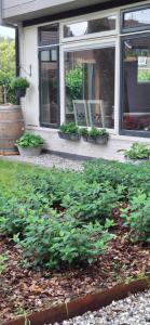 a garden with plants in front of a house at De Âlde Bibleteek in Burgum