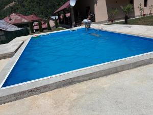 a blue swimming pool with a person standing in it at Pensiunea Melissa in Malaia
