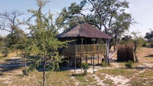 Fotografie z fotogalerie ubytování Chobe Hideaway v destinaci Kasinka