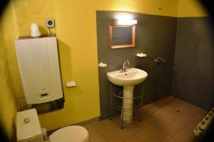 a bathroom with a sink and a toilet at Gîte #3, 3 Pers, Domaine De Ribiere in Grospierres