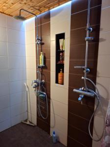 a bathroom with a shower in a room at Ahopelto in Savonlinna +14 photos