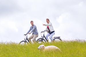 two men riding bikes in a field with a sheep at Dorumer Seestern - Ferienwohnung mit Terrasse und Sauna in Dorum