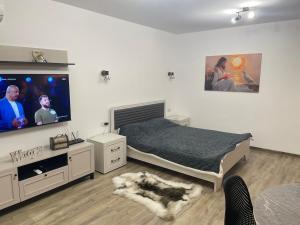 a bedroom with a bed and a flat screen tv at Răsărit la epava in Costinesti