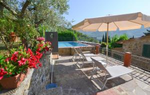 The swimming pool at or close to Il Frantoio
