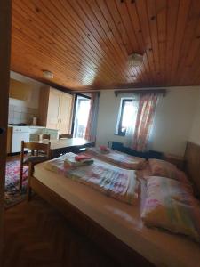Postel nebo postele na pokoji v ubytování Apartmaji Julijana Podlipnik + 24 fotografií