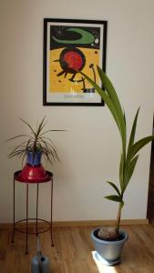 Fotografija v galeriji nastanitve Kapellenblick! geräumiges Apartment v mestu Bad Häring