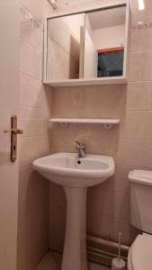 a bathroom with a sink and a mirror and a toilet at Grande maison idéale réunions familiales in Nervieux +33 photos