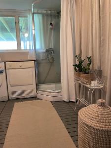 a bathroom with a shower with a plant in it at Family-Friendly House with Garden & Terrace by the Sea in Bovallstrand