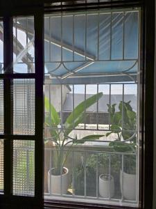 Φωτογραφία από το άλμπουμ του Backyard σε Yuanshan