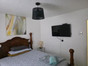 a bedroom with a bed and a flat screen tv at Stylish 2BR Prime Location Gated 24 7 Secure in Kingston
