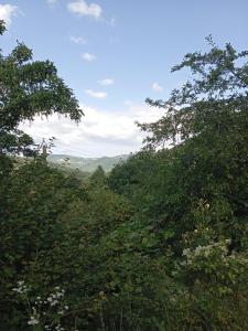 Photo de la galerie de l'établissement Au cœur de saint Agrève -Séjour Chez l'habitant, à Saint-Agrève