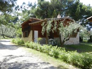 a small house with a tree in front of it at Tenuta Molino di Mare- Ecoresort in Rodi Garganico