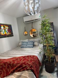 1 dormitorio con 1 cama y 2 macetas en Cozy Apartment at Mystic Ridge Ocho Rios, en Ocho Ríos 37 fotos más
