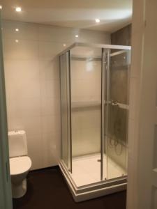une salle de bain avec douche et toilettes dans l'établissement Gula Villan Värdshus, à Glommersträsk 20 autres photos