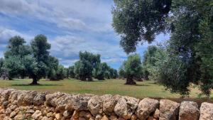 een stenen muur voor een veld met bomen bij VIALI Guest House in Fasano