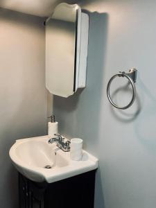 une salle de bain avec un lavabo et un miroir dans l'établissement Chicago-Pilsen Boho apartment with Free parking - Unit C, à Chicago