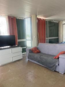 Sjónvarps- og/eða afþreyingartæki á PENTHOUSE SEASIDE 10 MIN port, croisière et aéroport