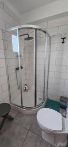 ein Badezimmer mit Glasdusche und Toilette in der Unterkunft Casa da Praia - Group Accommodation in Praia da Vitória