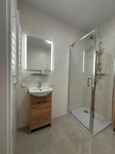 a bathroom with a shower and a sink and a mirror at Dune & Sea in Ustronie Morskie