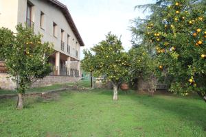 dos naranjos en un patio al lado de un edificio en Casa Rural La Flor del Naranjo, en Cadalso
