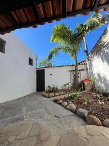 Un patio con una palmera al lado de un edificio blanco. en Suites dos Anjos, en Arraial do Cabo