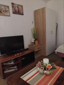 TV a/nebo společenská místnost v ubytování Apartman "Vuković"