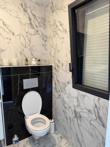 ein Bad mit einem WC und einer Marmorwand in der Unterkunft Maison La Pornicaise 11 in Saint-Jean-de-Monts