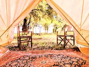 una tenda con due sedie e un tappeto dentro di Glamping Grignan 3 personnes vue exceptionnelle a Réauville