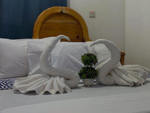 Postel nebo postele na pokoji v ubytování Hello Rafiki GuestHouse - Mkunazini