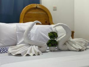 Postel nebo postele na pokoji v ubytování Hello Rafiki GuestHouse - Mkunazini
