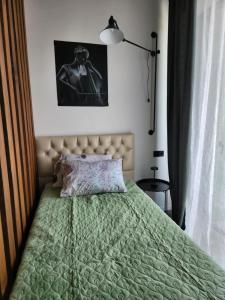 Postel nebo postele na pokoji v ubytování mcvane