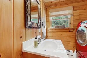 a bathroom with a white sink and a mirror at The Den In Franconia in Franconia +43 photos