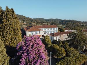 a tree with purple flowers in front of a city at Casa do Lugar de Paços in Caldelas