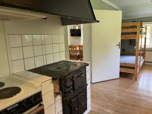 a kitchen with an stove top oven in a room at Stuga Gruvriset in Fredriksberg +9 photos