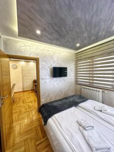 a bedroom with a large bed and a tv on the wall at Centar Lux 3M in Zlatibor