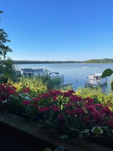 Un ramo de flores en un jardín junto a un lago. en Ferienwohnung, en Rheinsberg