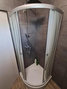 Ένα μπάνιο στο Apartman Oaza mira-Titova vila-Ergela Karadjordjevo +2 φωτογραφίες