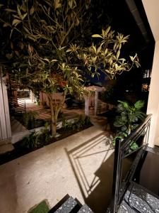 an indoor garden with a tree in a building at Mzeonas Apartment in K'obulet'i