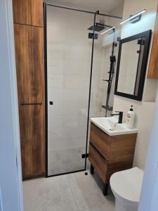 a bathroom with a shower and a sink and a toilet at NWW Zgody 13 Warszawa Centrum in Skorka