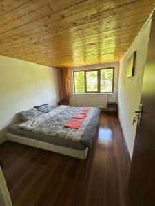 Billede fra billedgalleriet på Pensiunea Stefan i Durau