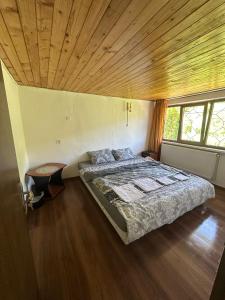 Billede fra billedgalleriet på Pensiunea Stefan i Durau