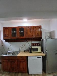 a small kitchen with a sink and a microwave at Apartman Lago in Plav +9 photos