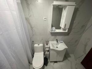 a white bathroom with a toilet and a sink at Apartman Lago in Plav