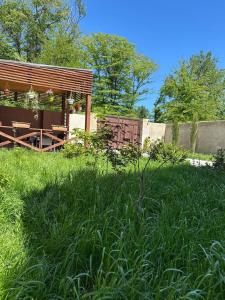 Ảnh trong thư viện ảnh của Green house Qusar ở Qusar