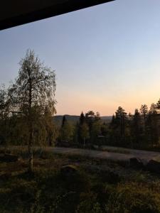 a view of a road with a tree in the distance at Huipunpuisto B, sähköauton lataaminen sisältyy vuokraan in Syöte