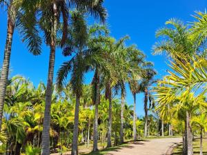 Κήπος έξω από το Appartement confort avec terrasse près de Saint-Denis - FR-1-786-51